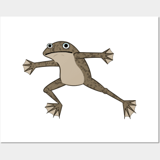 African Dwarf Frog Posters and Art